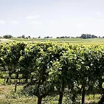 Ibis Bordeaux Nord Blanc Ξενοδοχείο