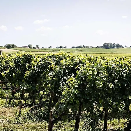 Ibis Bordeaux Nord Blanc Otel